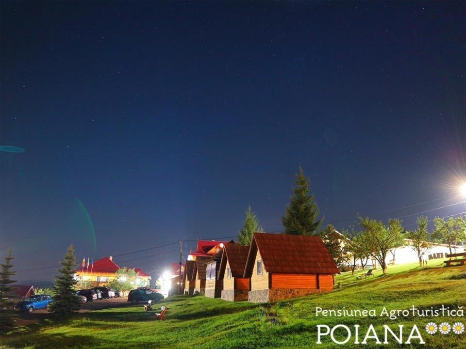 Pensiunea Agroturistica Poiana ปอยอานาเนกรี ภายนอก รูปภาพ