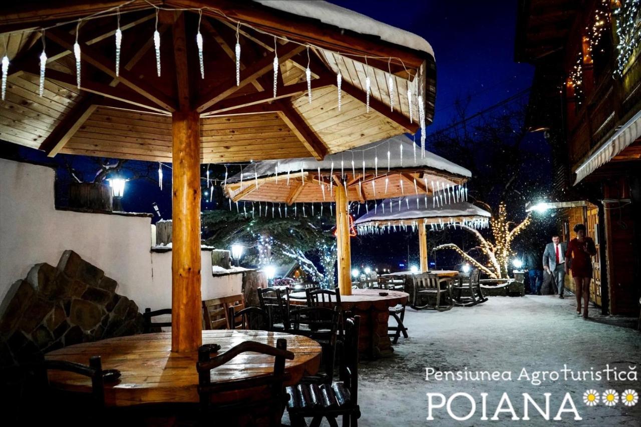 Pensiunea Agroturistica Poiana ปอยอานาเนกรี ภายนอก รูปภาพ