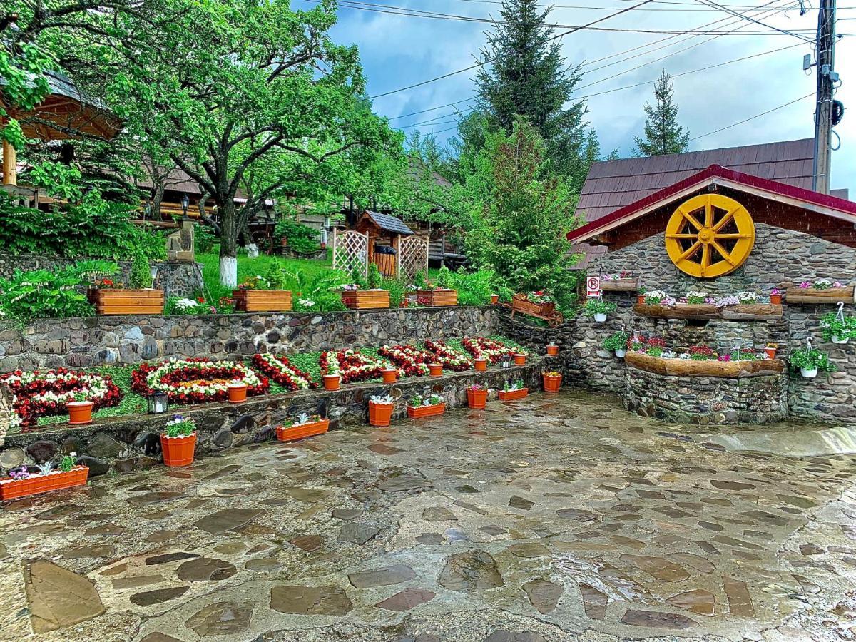 Pensiunea Agroturistica Poiana ปอยอานาเนกรี ภายนอก รูปภาพ