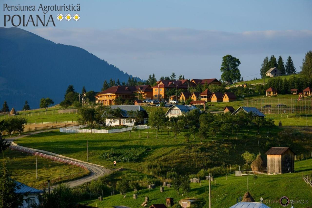 Pensiunea Agroturistica Poiana ปอยอานาเนกรี ภายนอก รูปภาพ